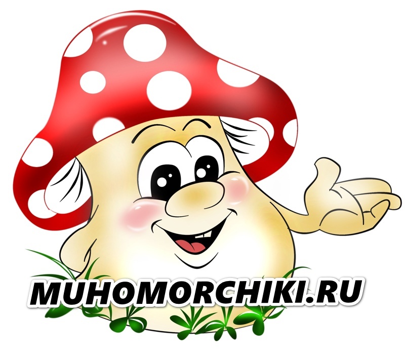 Мухоморчики.ру